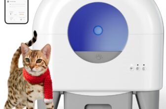 best coupon websites in USA list top deal and discount websites USA