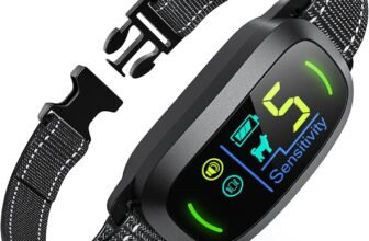 best coupon websites in USA list top deal and discount websites USA