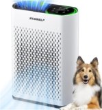 Large Room HEPA Air Purifier with Real-Time Air Quality Display