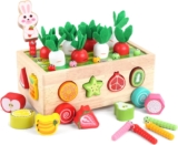 Montessori Wooden Shape Sorting Toys – Toddler Educational Learning Set