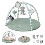 Blissful Diary Baby Play Gym – Sage