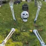 Halloween Skeleton Stake Decorations Deal | Spooky Yard & Garden Bone Decor